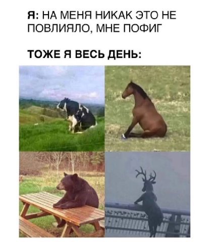 Я: НА МЕНЯ НИКАК ЭТО НЕ ПОВЛИЯЛО, МНЕ ПОФИГ ТОЖЕ Я ВЕСЬ ДЕНЬ: А 5