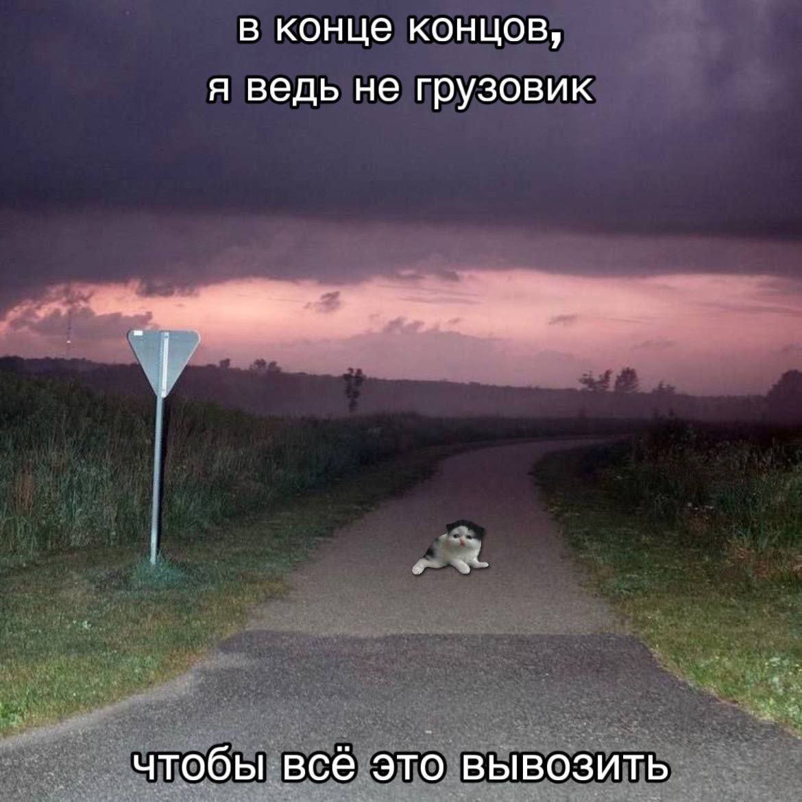 в конце концов, я ведь не грузовик чтобы всё это вывозить