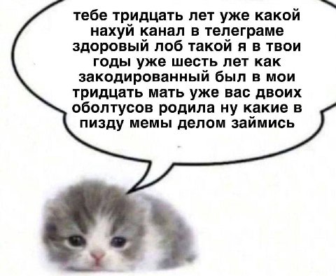 тебе тридцать лет уже какой нахуй канал в телеграме здоровый лоб такой я в твои годы уже шесть лет как закодированный был в мои тридцать мать уже вас двоих оболтусов родила ну какие в пизду мемы делом