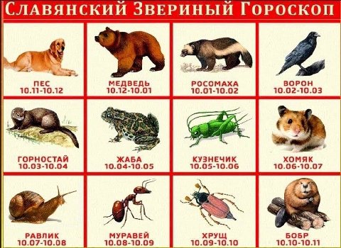 ГОРОСКОП nec МЕДВЕДЬ РОСОМАХА ВОРОН 10.11-10.12 10.12-10.01 10.01-10.02 10.02-10.03 ГОРНОСТАЙ ЖАБА КУЗНЕЧИК хомяк 10.03-10.04 10.04-10.05 10.05-10.06 10.06-10.07 РАВЛИК МУРАВЕЙ ХРУЩ БОБР 10.07-10.08 1