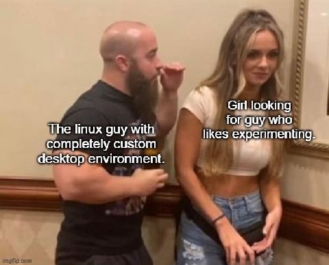 4 Girl looking for guy who The linux guy with likes experimenting. completely custom desktop environment.