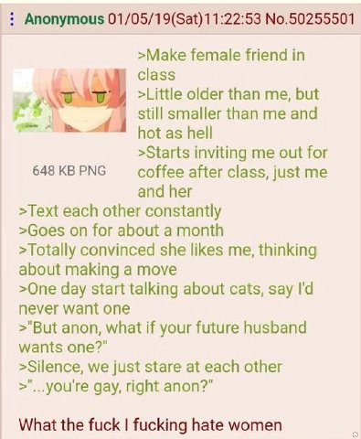 Anonymous 01/05/19(Sat)11:22:53 No.50255501 >Make female friend in class older than me, but 2 still smaller than me and hot as hell >Starts inviting me out for 648 PNG coffee after class, just me and 