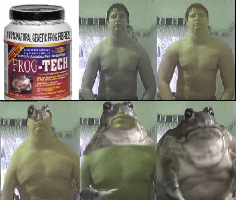The man named Bob once sold it to me
No regrets, I love being a frog