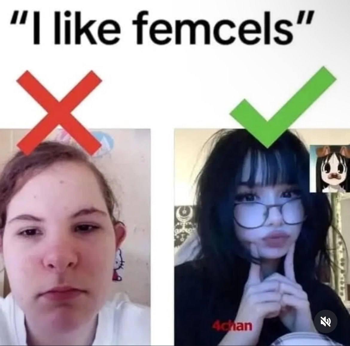 like femcels”