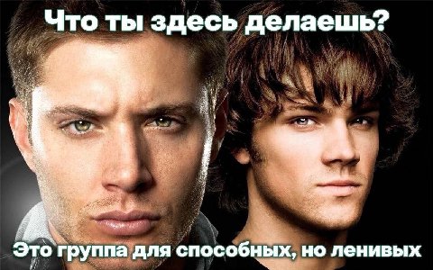 Что ты здесь делаешь? “8 an it я 4 any „7 то группа для способных, но ленивых