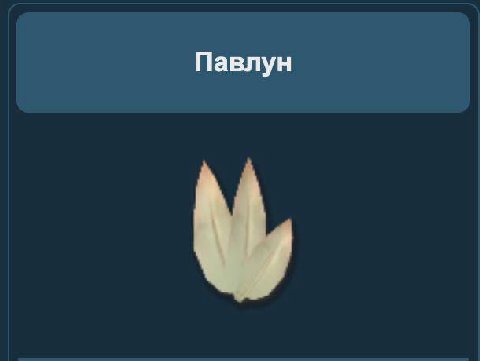 целовать женщину в