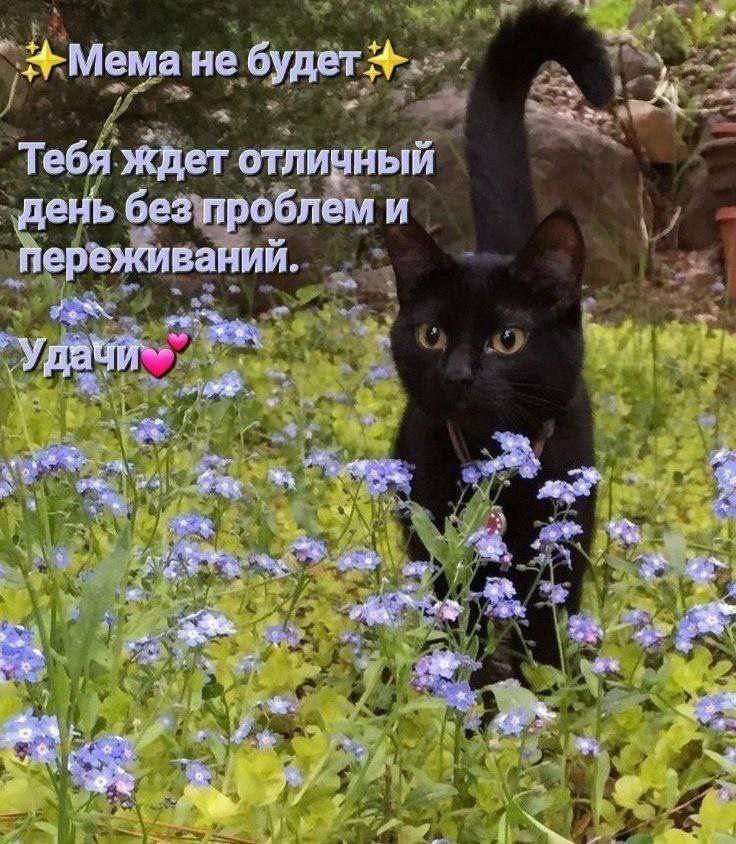 4 6 не Тебя ждет отличный день без проблем и переживаний. У a у 4 in