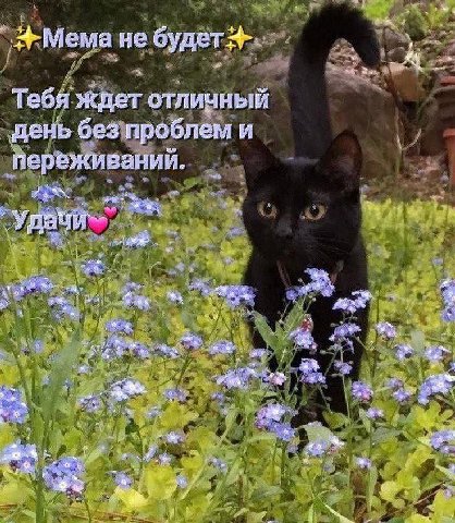 4 6 не Тебя ждет отличный день без проблем и переживаний. У a у 4 in