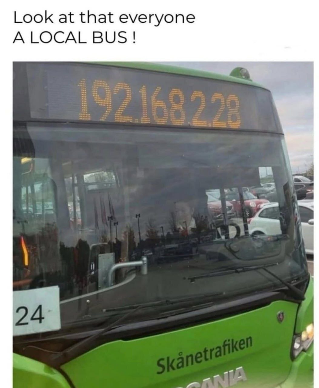 Look at that everyone BUS!