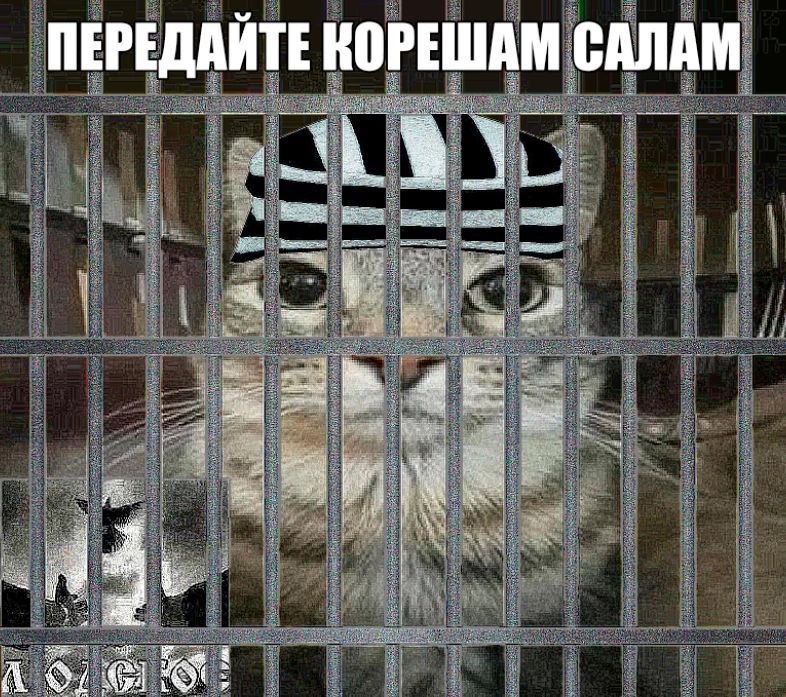 ПЕРЕДАЙТЕ КОРЕШАМ САЛАМ a с A