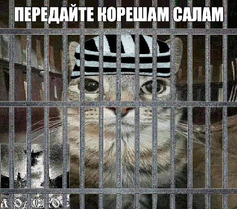 ПЕРЕДАЙТЕ КОРЕШАМ САЛАМ a с A