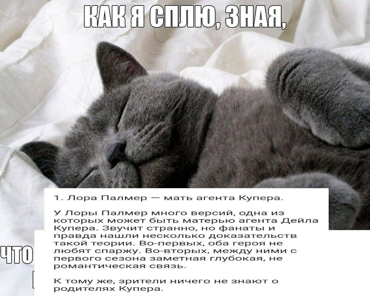 fie a a к 7. Лора Палмер мать агента Kynepa. У Лоры Палмер много версий, одна из которых может быть матерью агента Дейла купера. Звучит странно, но фанаты и правда несколько доказательств такой теории