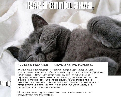 fie a a к 7. Лора Палмер мать агента Kynepa. У Лоры Палмер много версий, одна из которых может быть матерью агента Дейла купера. Звучит странно, но фанаты и правда несколько доказательств такой теории