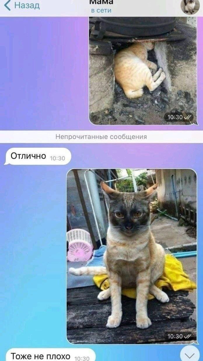 Назад в сети Непрочитанные сообщения OTNUYHO —4 с a a 7 2 Тоже не плохо 40-2