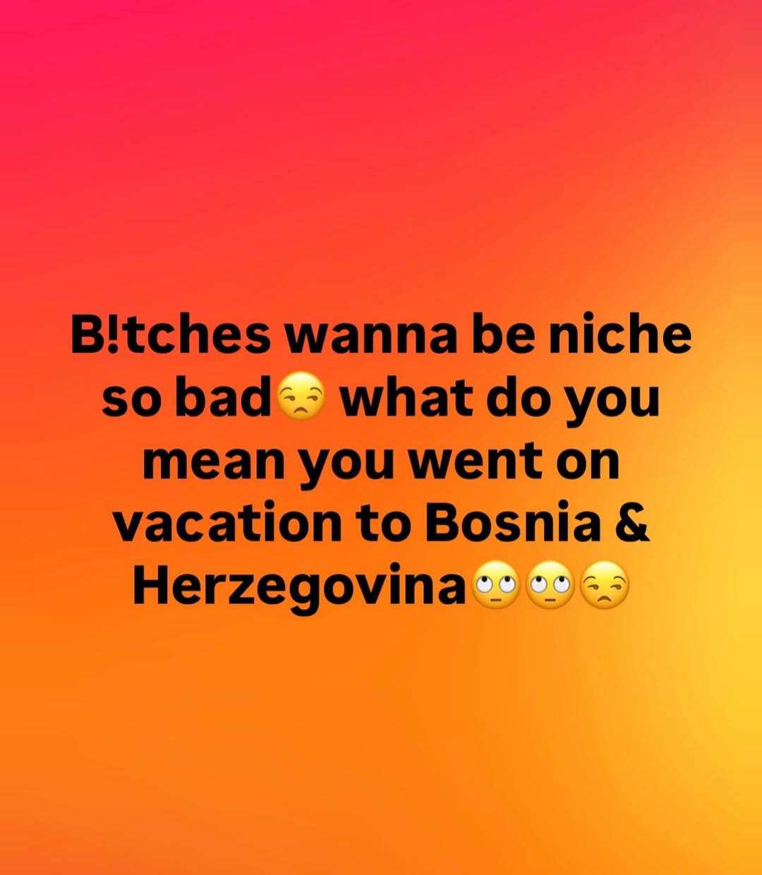 wanna be niche so bad what you mean you went on vacation to Bosnia