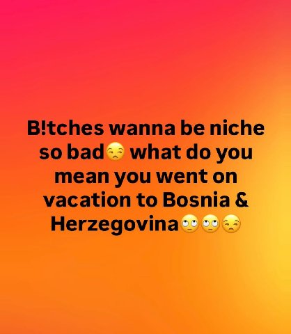 wanna be niche so bad what you mean you went on vacation to Bosnia