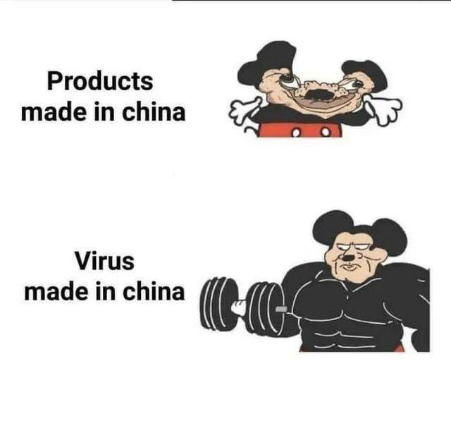 Products made in china Virus made in china