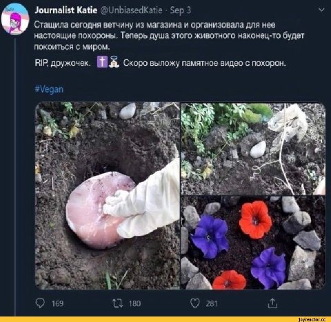 Journalist Katie Стащила сегодня ветчину из магазина и организовала для нее настоящие похороны. Теперь душа этого животного наконец-то будет покоиться с миром. RIP. дружочек. А Скоро выложу памятное в