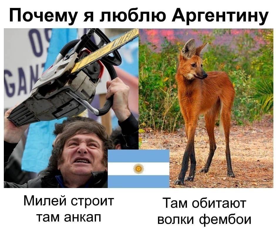 Почему я люблю Аргентину 7 A 23 Милей строит Там обитают там анкап волки фембои
