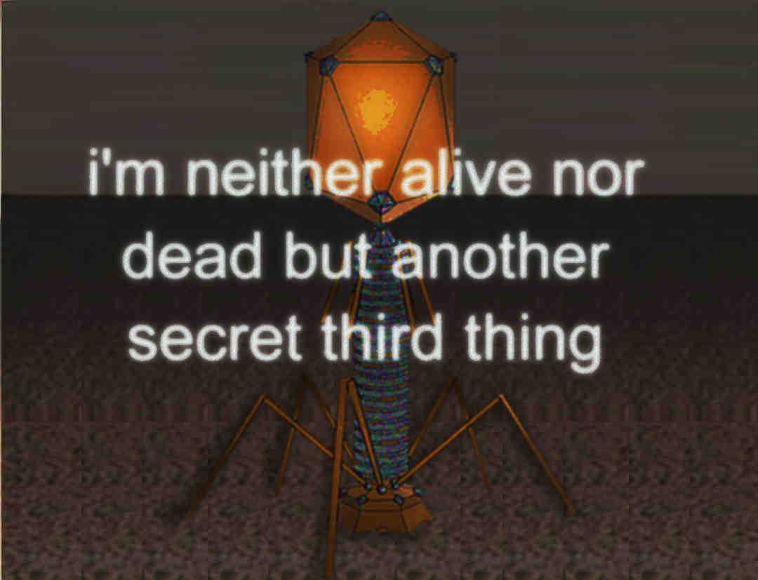 neither alive пог dead but another secret third thing