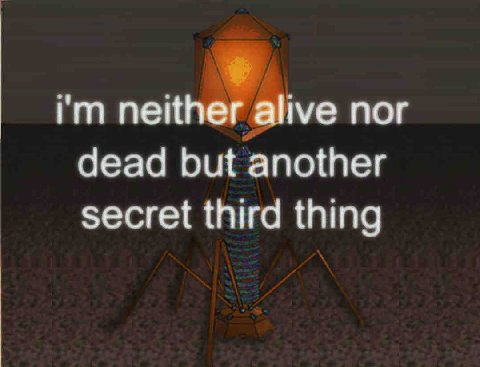 neither alive пог dead but another secret third thing