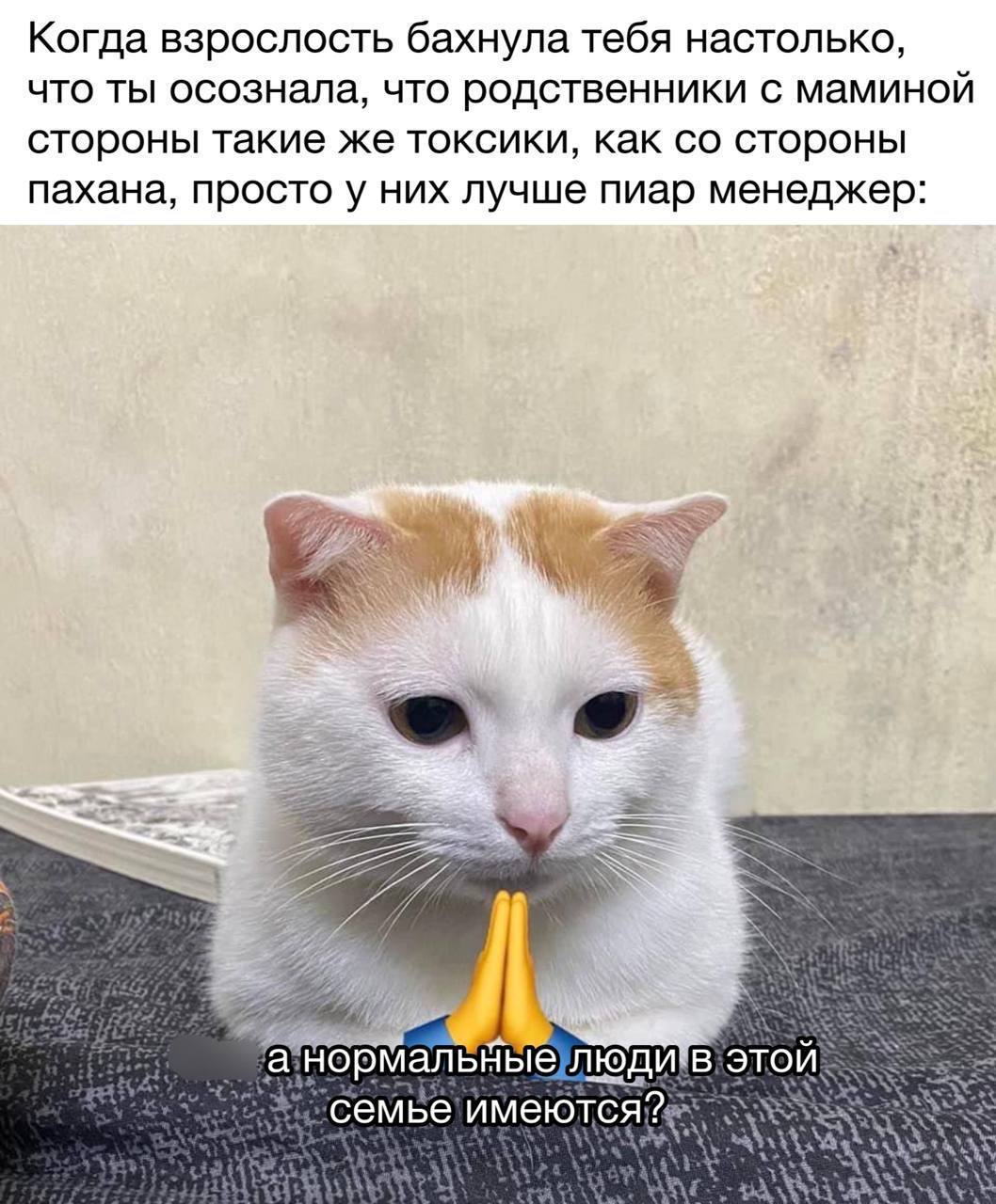 Когда взрослость бахнула тебя настолько, что ты осознала, что родственники с маминой стороны такие же токсики, как стороны пахана, просто у них лучше пиар менеджер: а:нормальныелюдив это