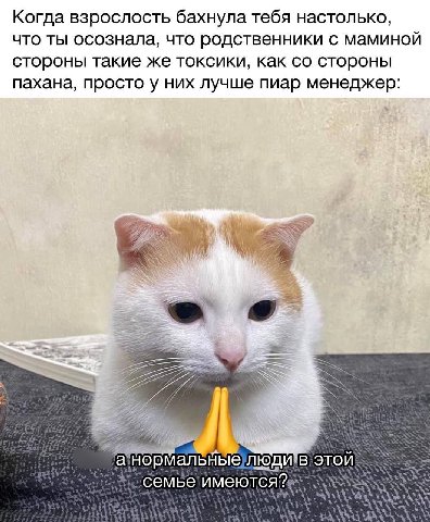 Когда взрослость бахнула тебя настолько, что ты осознала, что родственники с маминой стороны такие же токсики, как стороны пахана, просто у них лучше пиар менеджер: а:нормальныелюдив это