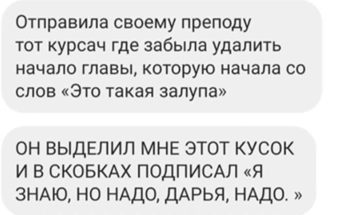 Отправила своему преподу тот курсач где забыла удалить начало главы, которую начала слов «Это такая залупа» ОН ВЫДЕЛИЛ МНЕ ЭТОТ КУСОК И В СКОБКАХ ПОДПИСАЛ «Я ЗНАЮ, НО НАДО, ДАРЬЯ, НАДО.