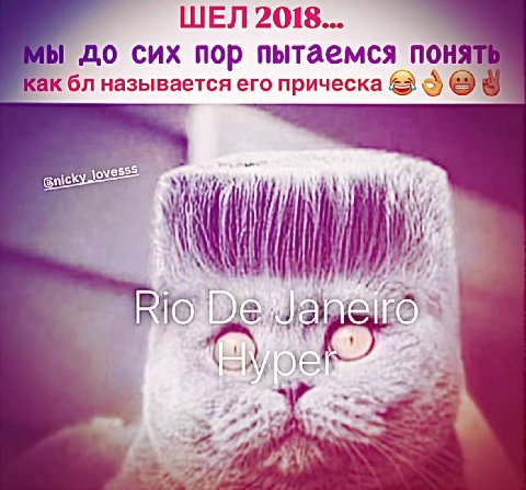 ШЕЛ 2018... 1 до сих пор пытаемся поня называется его прическа nic! I 5%