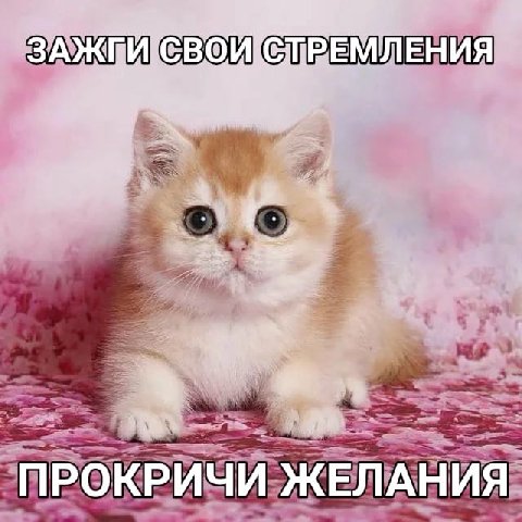 ЗАЖ МЛЕНИЯ ПРОКРИЧИ ЖЕЛАНИЯ