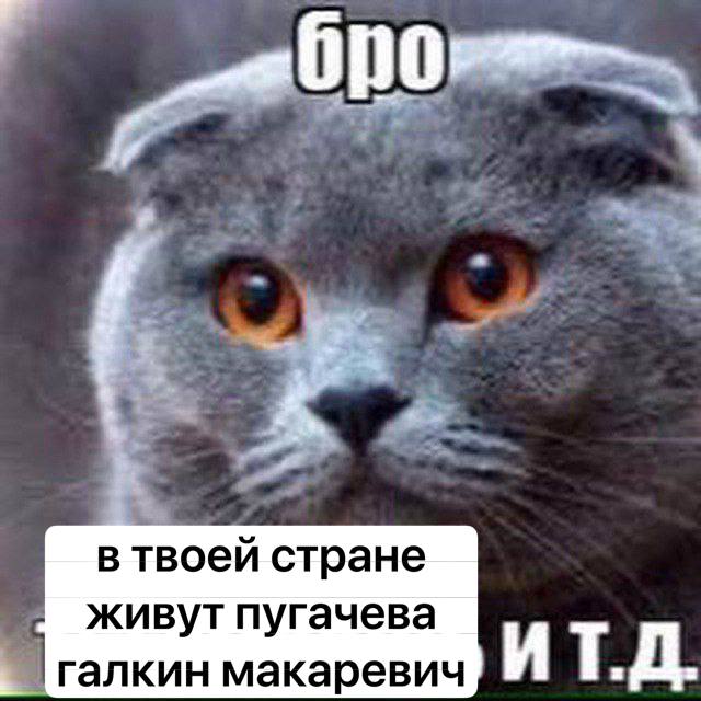 в твоей стране живут пугачева галкин макаревич ИТ.Д.