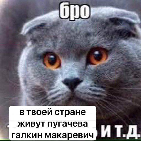 в твоей стране живут пугачева галкин макаревич ИТ.Д.