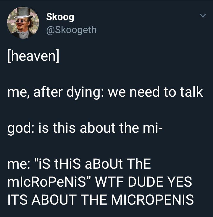 Skoog @Skoogeth [heaven] me, after dying: we need to talk god: is this about the me: "iS tHiS aBoUt ThE mlcRoPeNiS” WTF DUDE YES ITS ABOUT THE MICROPENIS