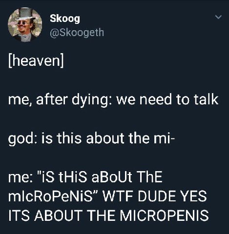 Skoog @Skoogeth [heaven] me, after dying: we need to talk god: is this about the me: "iS tHiS aBoUt ThE mlcRoPeNiS” WTF DUDE YES ITS ABOUT THE MICROPENIS