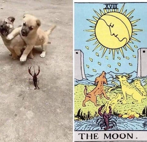 9 THE MOON.