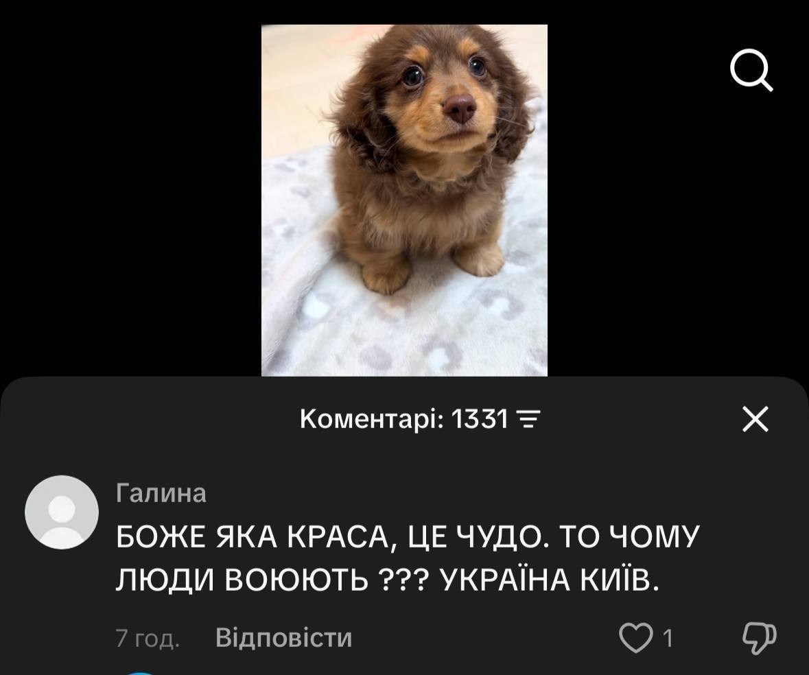 Коментари: 1331 2 Галина БОЖЕ ЯКА КРАСА, ЧУДО. ТО ЧОМУ ЛЮДИ ВОЮЮТЬ YKPAIHA КИВВ. 7год. Едповсти 8)