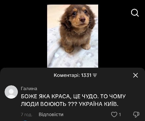 Коментари: 1331 2 Галина БОЖЕ ЯКА КРАСА, ЧУДО. ТО ЧОМУ ЛЮДИ ВОЮЮТЬ YKPAIHA КИВВ. 7год. Едповсти 8)
