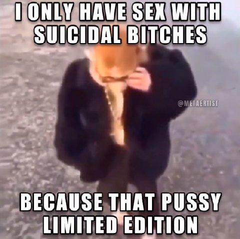 ВЕСА НАТ PUSSY IMITED DITION