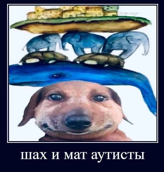 шах и мат аутисты