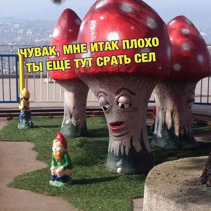 МНЕ ИТАК ПЛОХО ЧУВАК, РАТЬ СЕЛ 2