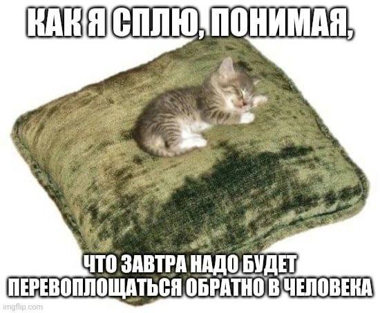 НТО 3ABTPA БУДЕТ ПЕРЕВОПЛОЩАТЬСЯ ОБРАТНО В