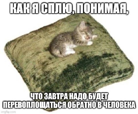 НТО 3ABTPA БУДЕТ ПЕРЕВОПЛОЩАТЬСЯ ОБРАТНО В