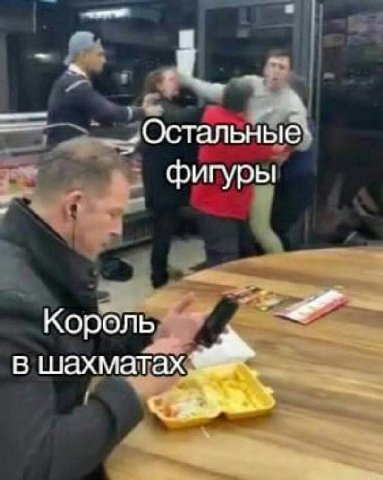 Остальные фигуры Король в шахматах