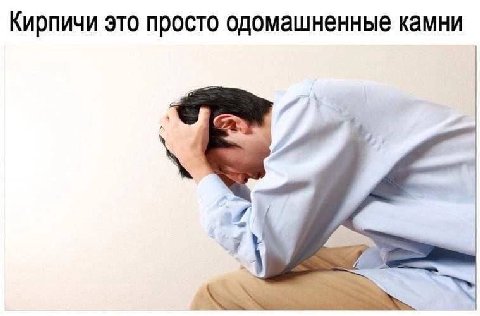 Кирпичи это просто одомашненные камни