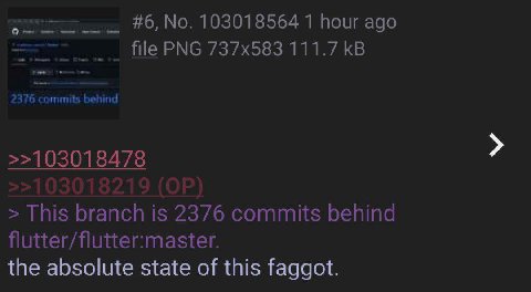 #6, No. 103018564 1 hour ago file PNG 111.7 2376 commits behind >>103018478 This branch is 2376 commits behind flutter/flutter:master. the absolute state of this faggot.