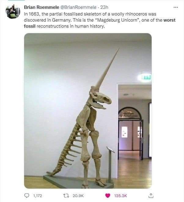 Brian Roemmele @BrianRoemmele In 1663, the partial fossilised skeleton of a woolly rhinoceros was discovered in Germany. This is the “Magdeburg Unicorn”, one of the worst fossil reconstructions In hum
