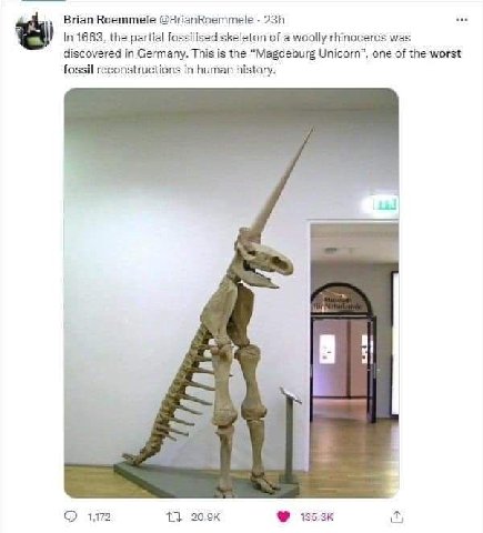 Brian Roemmele @BrianRoemmele In 1663, the partial fossilised skeleton of a woolly rhinoceros was discovered in Germany. This is the “Magdeburg Unicorn”, one of the worst fossil reconstructions In hum