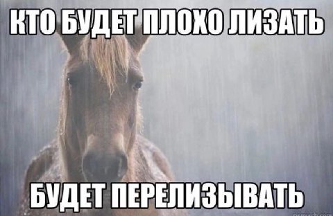 КТО ЛИЗАТЬ БУДЕТ ПЕРЕЛИЗЫВАТЬ