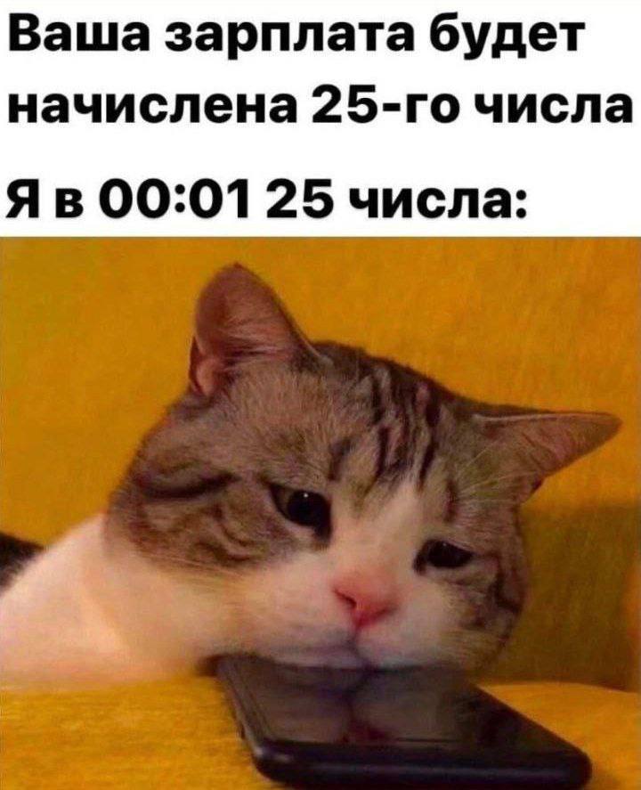 Ваша зарплата будет начислена числа 00:01 25 числа: