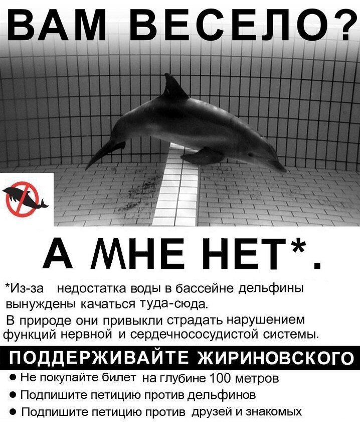 ВАМ ВЕСЕЛО? А МНЕ НЕТ*. *Из-за недостатка воды в бассейне дельфины вынуждены качаться туда-сюда В природе они привыкли страдать нарушением функций нервнои и сердечнососудистои системы ПОДДЕРЖИВАИТЕ ЖИ
